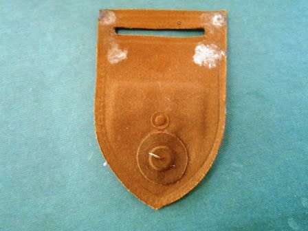 Medical Training Command Nutria Shoulder Flash *** Very Rare ***