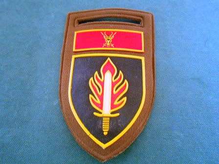 Intelligence School Nutria Shoulder Flash ( First was 11 commando)