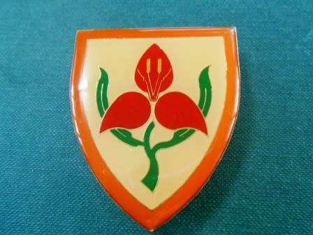 SADF Military Academy Shoulder Flash