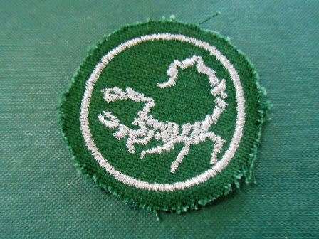 Hunter Group Instructors Arm Badge