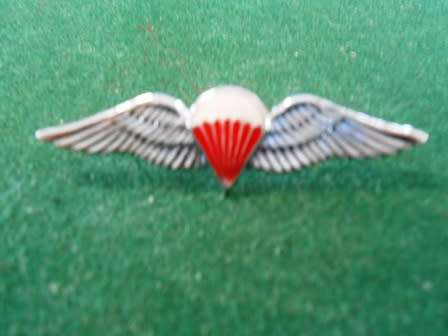 Free Fall Miniature Parabat Qualification Wing