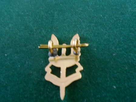 Rhodesian SAS Cap Badge