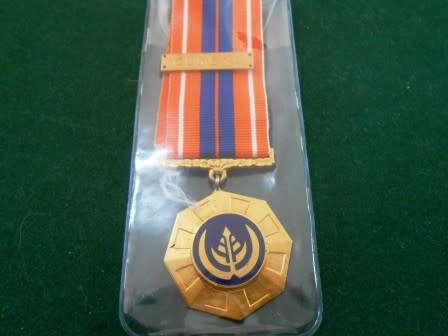 Pro Patria " Loose Suspender Variation" Full Size Medal with Cunene Bar