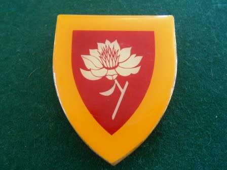 Womens College shoulder flash