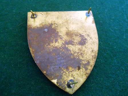 Womens College shoulder flash