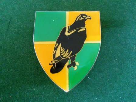 Group 36 Shoulder Flash