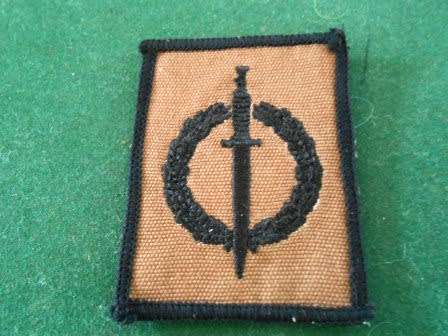 Recce Nutria Operators Badge
