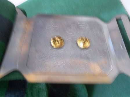 Regiment Dan Pienaar Stable Belt