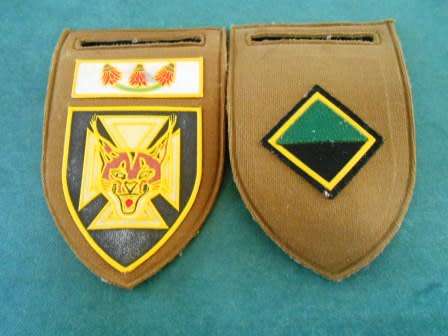 7 South African Infantry * Co. Nutria flash - Used Conditionsee pics