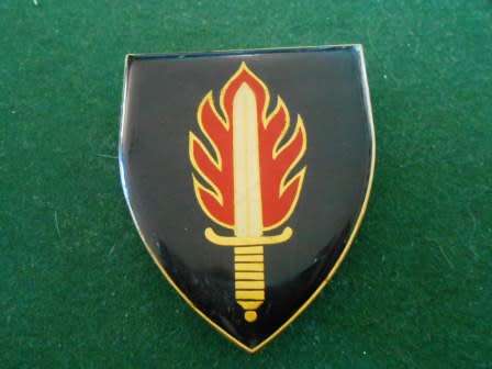 11 Commando / Intelligence School Shoulder Flash
