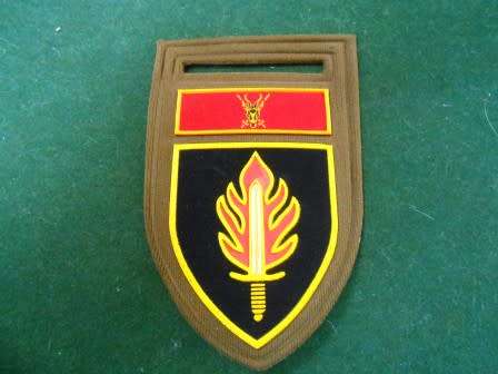 11 Commando / Intelligence School Shoulder Nutria Flash