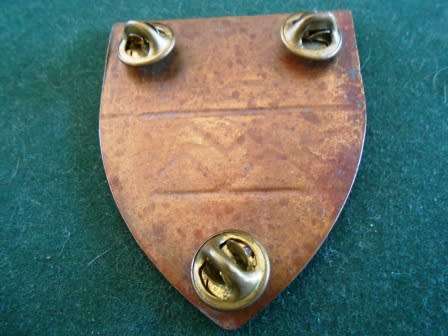 2 SAI Battalion shoulder Flash