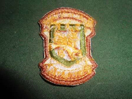 Old SAP Reaction Unit Cloth Badge
