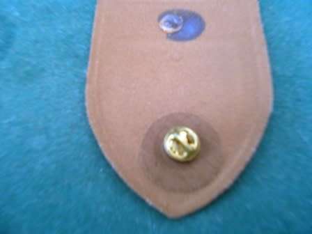 School of Armour Nutria Shoulder Flash