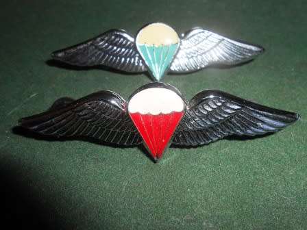 Set of Full Size Para Wings