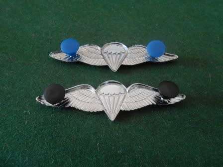 Set of Full Size Para Wings
