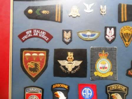Set of Parachute Wings & Badges