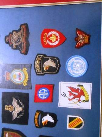 Set of Parachute Wings & Badges