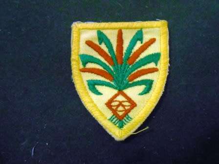 SWATF 202 Battalion Cloth Flash