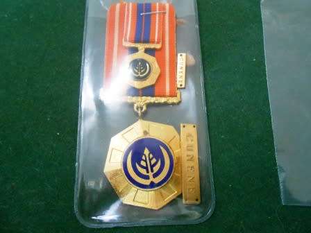 Propatria Medal Set *** Full Size Loose suspender type, Miniature including Cunene Bars ***