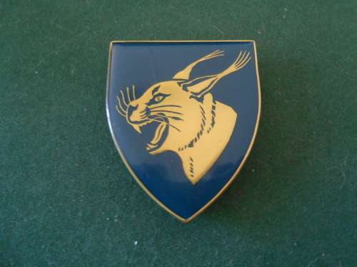 Northam Commando Shoulder Flash