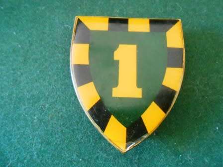 1 South African Infantry  Shoulder Flash