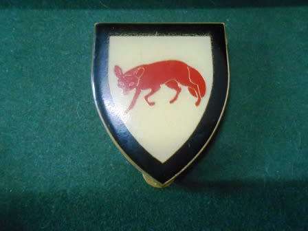 South Coast Commando Shoulder Flash