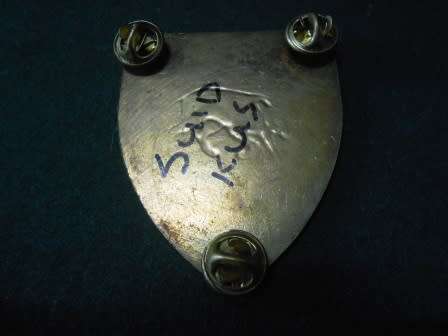 South Coast Commando Shoulder Flash