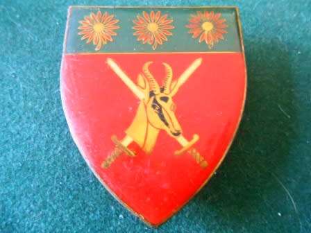 Northern Transvaal Command Shoulder Flash