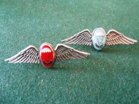Set of Miniature Parabat Wings