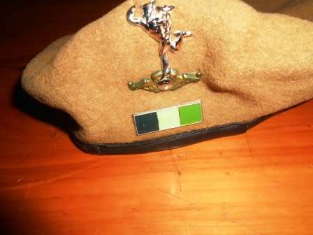 SADF Signals Beret