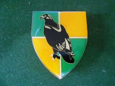 Group 36 HQ Shoulder Flash