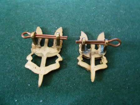 Early SAS Badges *** Note Flat Lugs *** ( Not sure if Rhodesian But were in a T Forbes Jewelrs Box )