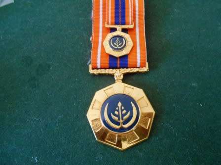Pro Patria Medal Set *** Full Size and Miniature ***