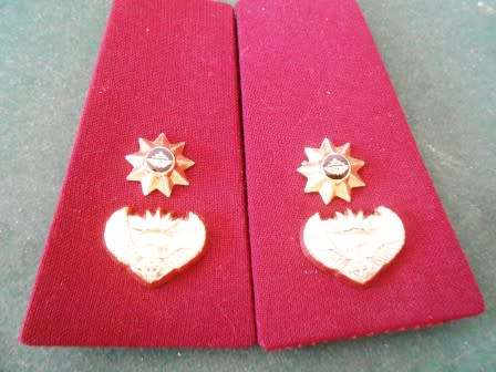 Medical Officers Rank Insignia