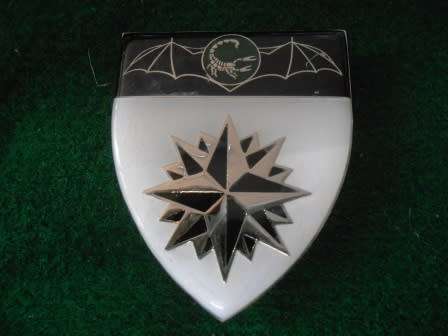 2 Reece Shoulder flash ***Restrike***