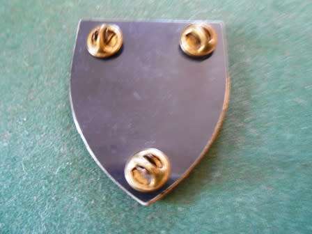 11 Commando / Intelligence School Nutria Flash