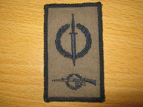 Recce operators badge  **not sure if original**