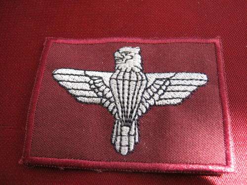 Parabat badge - copy