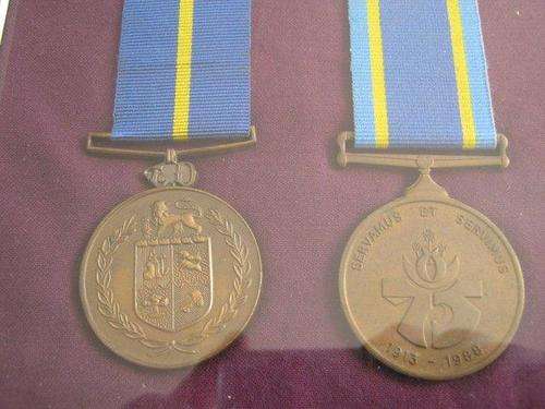 SAP Service medals in a frame