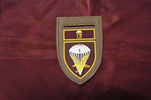 1 Para nutria Shoulder flash