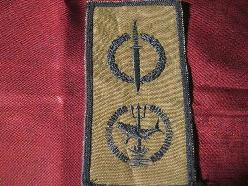 Recce operators nutria badge (collectors copy)