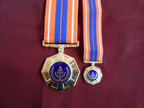 Propatria Medal (full size & Miniature)