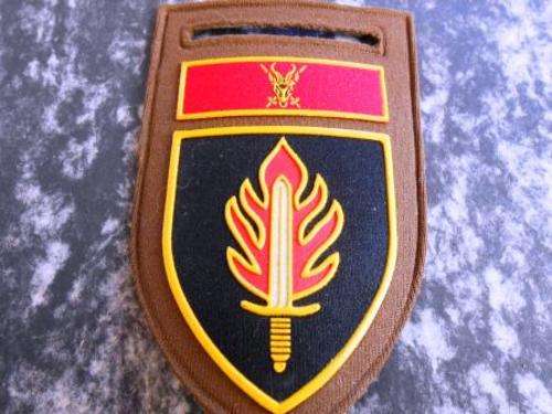 Intelligence school nutria shoulder flash.