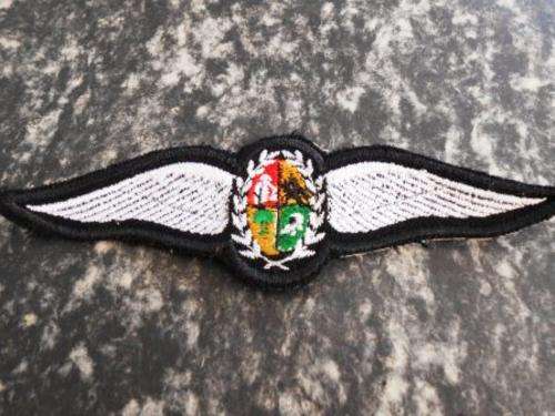 SAAF Pilots cloth Wing