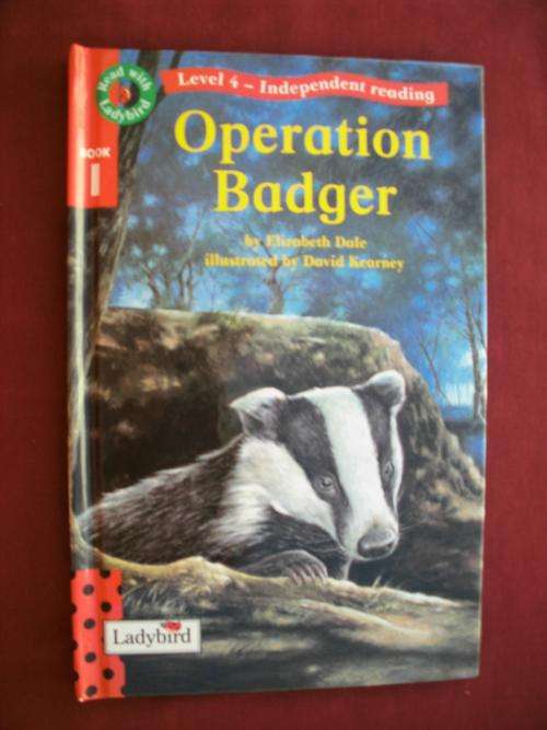 Book - Read with Ladybird - Level 4 Book 1