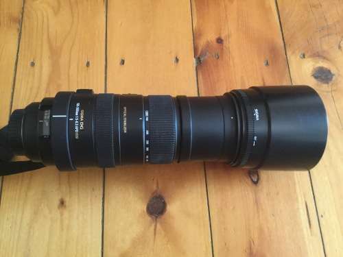 Sigma 150-500 Canon fit lens with carry bag