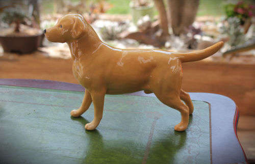 Beswick Figurine Labrador "Solomon of Wendover" -140x210x53mm