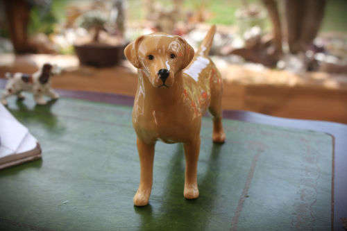 Beswick Figurine Labrador "Solomon of Wendover" -140x210x53mm