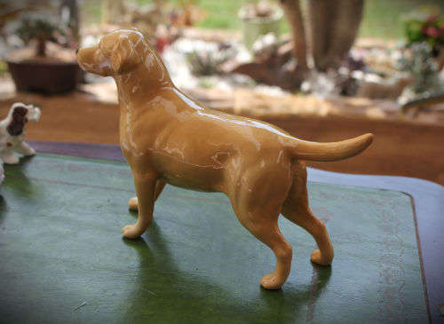 Beswick Figurine Labrador "Solomon of Wendover" -140x210x53mm